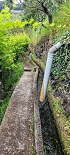 Plants: image 111 Of 208 Thumb